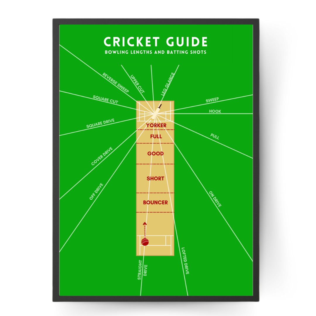 Cricket Guide Wall Print with Bowling Lengths and Batting Shots