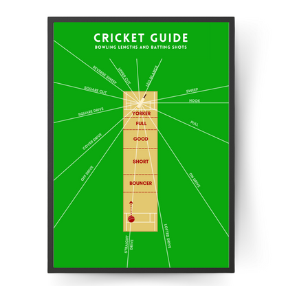 Cricket Guide Wall Print with Bowling Lengths and Batting Shots