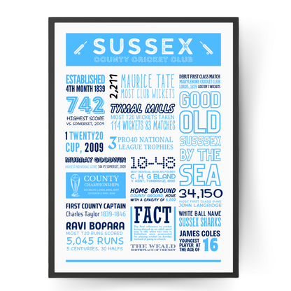 Sussex Cricket Fact Sheet Poster