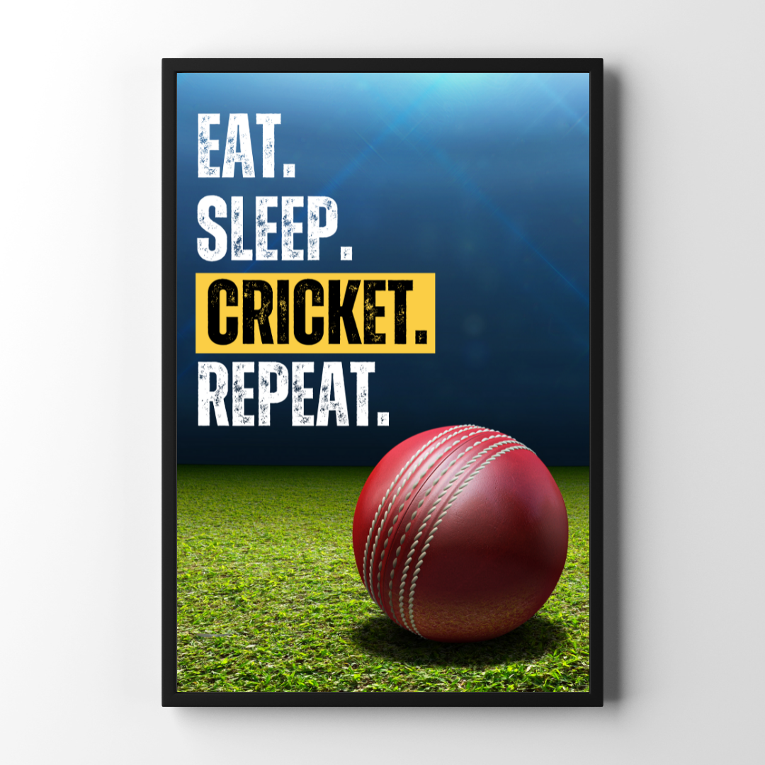 Eat Sleep Cricket Repeat | Cricket Ball Poster