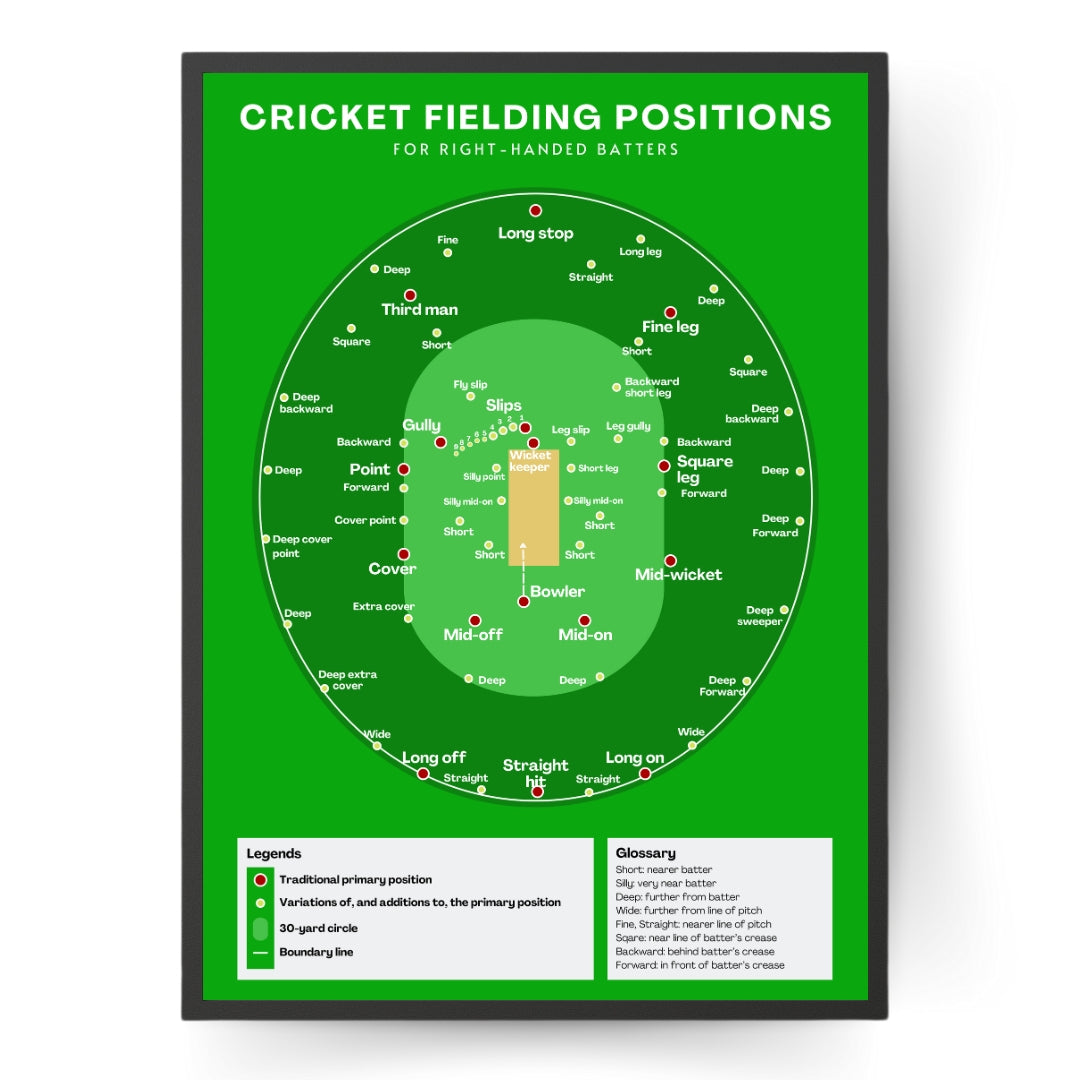 Cricket Fielding Positions Poster With Green Background