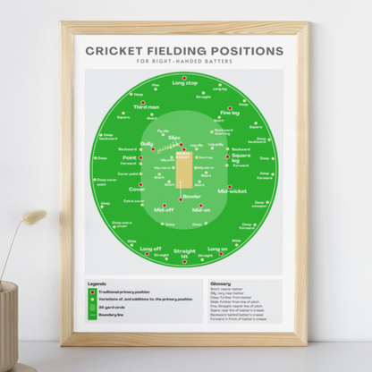 Cricket Fielding Positions Wall Print