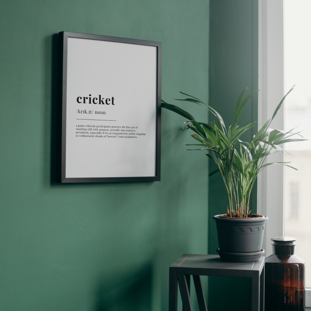 Humorous Cricket Definition Wall Print