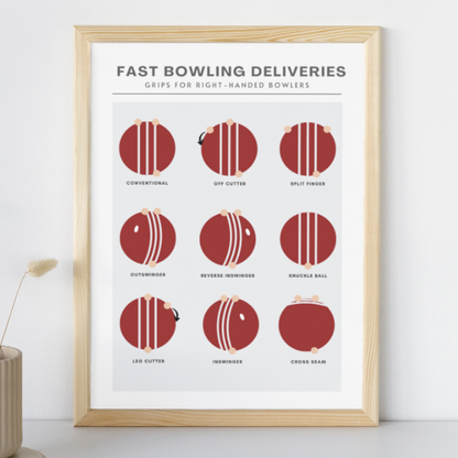 Fast Bowling Deliveries Grips Guide Wall Print