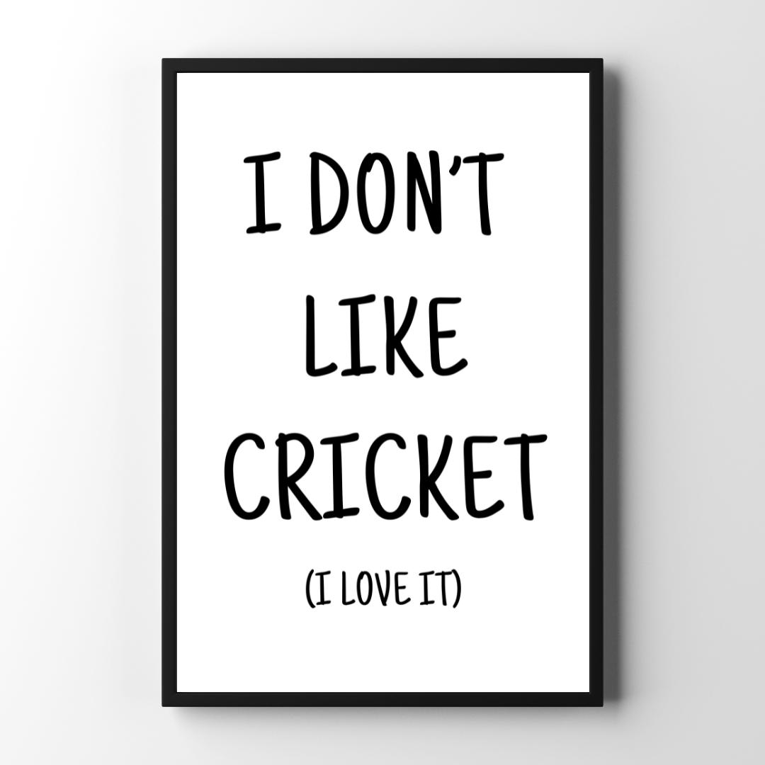 I Don't Like Cricket, I Love It | Large Text