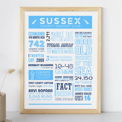 Sussex Cricket Fact Sheet Poster