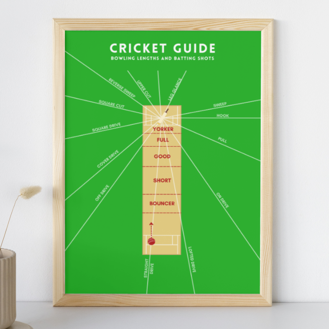 Cricket Guide Wall Print with Bowling Lengths and Batting Shots