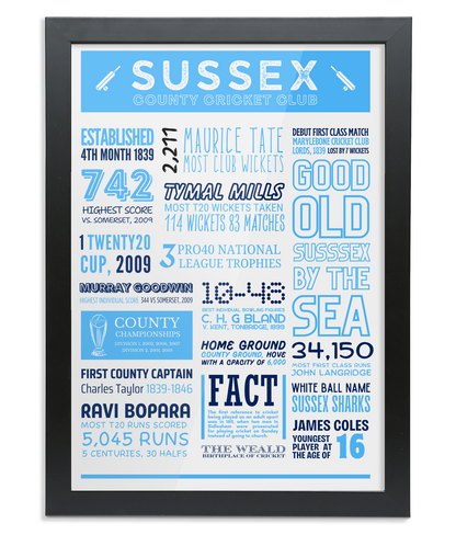 Sussex Cricket Fact Sheet Poster