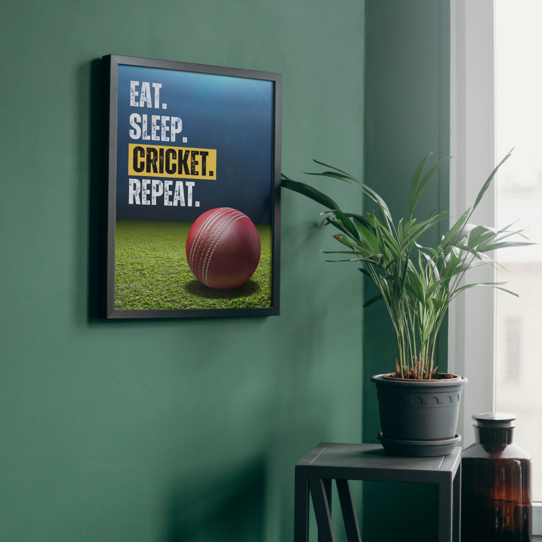 Eat Sleep Cricket Repeat | Cricket Ball Poster