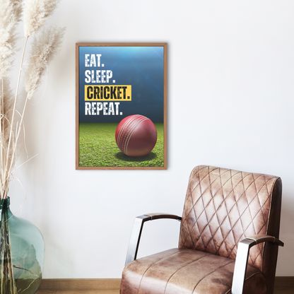 Eat Sleep Cricket Repeat | Cricket Ball Poster