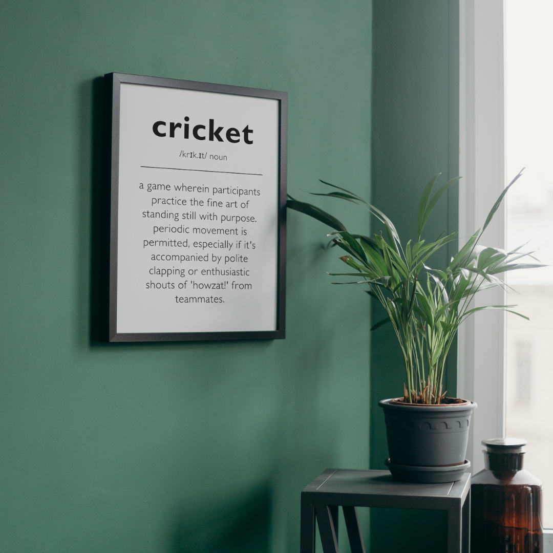 Humorous Cricket Definition Wall Print | Modern Large Text