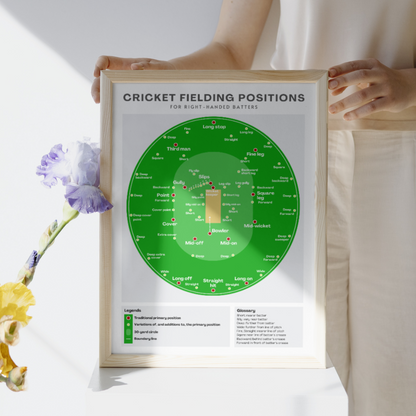 Cricket Fielding Positions Wall Print