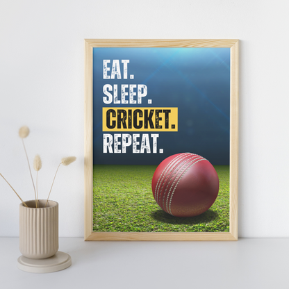 Eat Sleep Cricket Repeat | Cricket Ball Poster