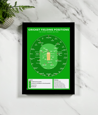 Cricket Fielding Positions Poster With Green Background