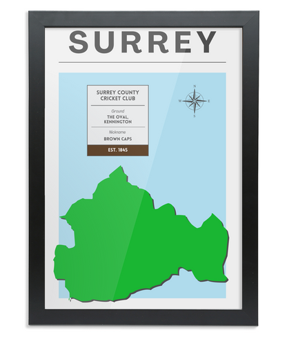 Surrey County Cricket Poster