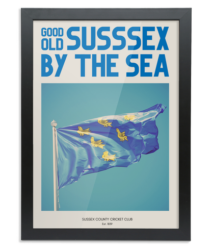 Sussex Cricket Supporters Wall Print