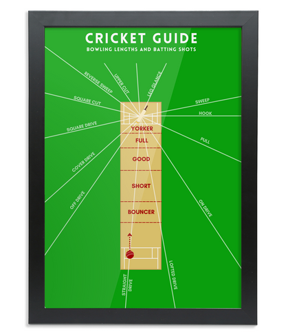 Cricket Guide Wall Print with Bowling Lengths and Batting Shots